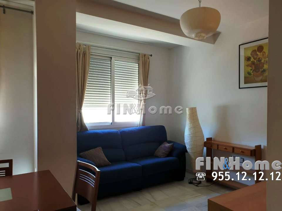 Inmobiliaria FIN&Home WhatsApp-Image-2019-03-11-at-13.39.18-2_18-2 VIVIENDA EN ALQUILER CERCA DE RONDA DE TRIANA Inmobiliaria FIN&Home WhatsApp-Image-2019-03-11-at-13.39.18-2_18-2 VIVIENDA EN ALQUILER CERCA DE RONDA DE TRIANA