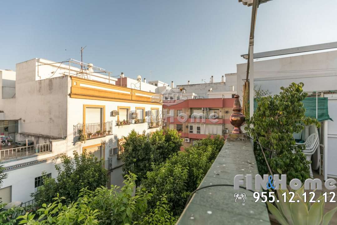 Inmobiliaria FIN&Home FH03476-DOLORES-LEON-AZOTEA-4 Magnífica casa independiente de cuatro plantas con ascensor, numerosas estancias y gran terraza con atico en el Barrio Leon Inmobiliaria FIN&Home FH03476-DOLORES-LEON-AZOTEA-4 Magnífica casa independiente de cuatro plantas con ascensor, numerosas estancias y gran terraza con atico en el Barrio Leon
